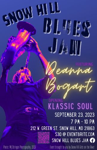 Soulful Blues Tour 2025 Poster